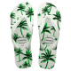 HAVAIANAS ALOHA, FLIP FLOP MEN