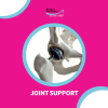 Joint Support