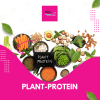 plant-protein